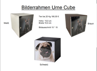 Bild Cube