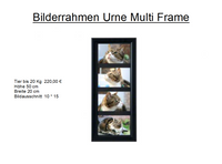 Multiframe